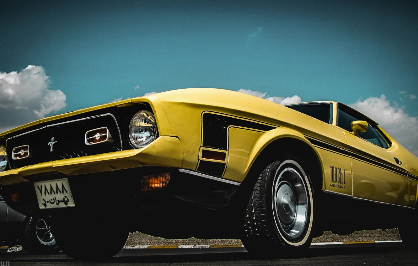 Фото обои mustang, ford, old, classic, mach1