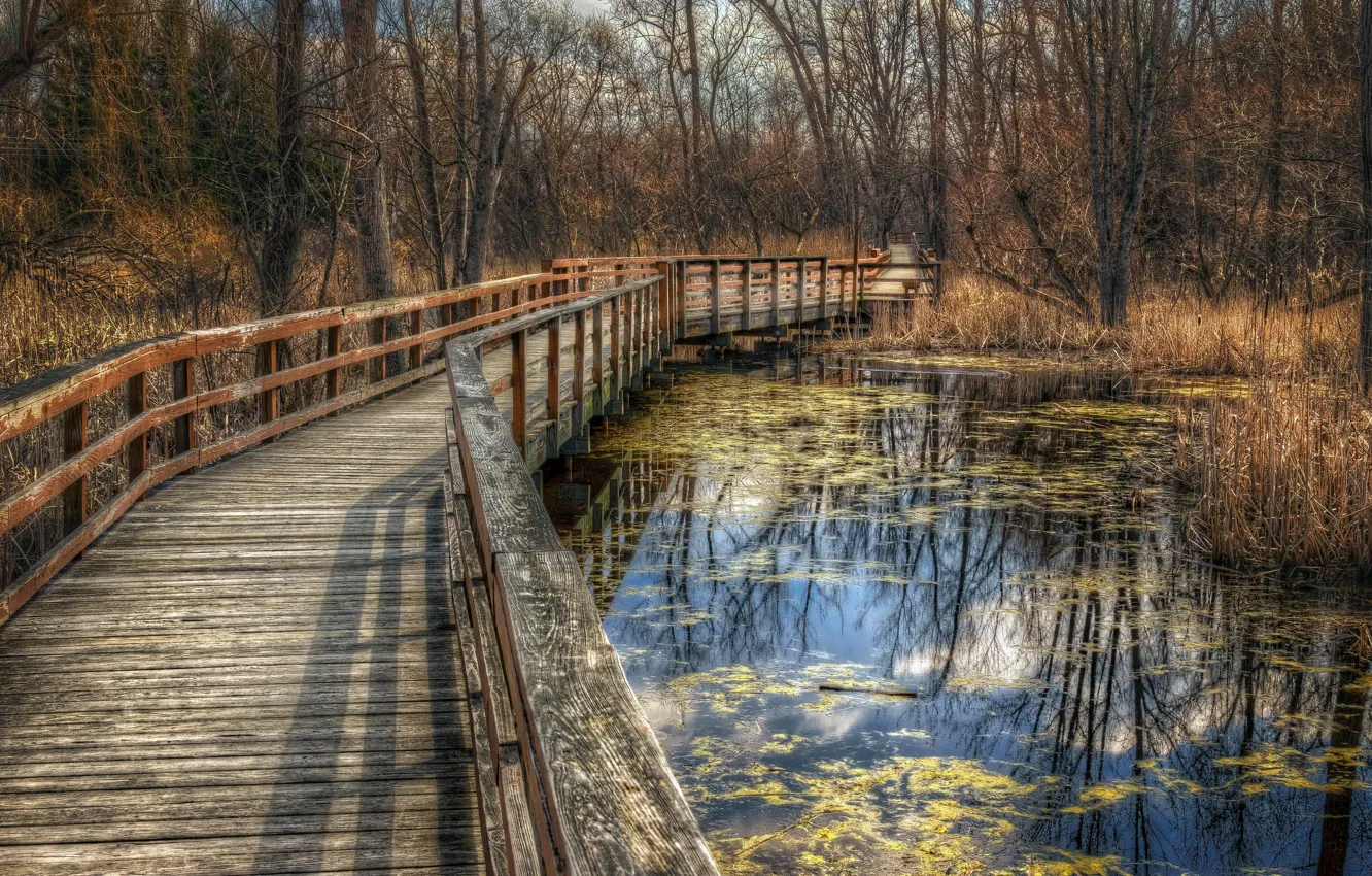 Фото обои мост, природа, парк