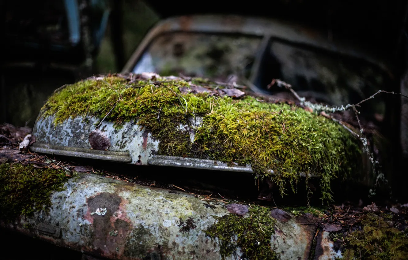 Фото обои мох, Volvo, Volvo PV, требуется ремонт