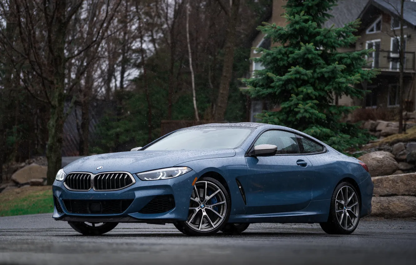 Фото обои дождь, купе, BMW, 2018, 8-Series, 2019, бледно-синий, M850i xDrive