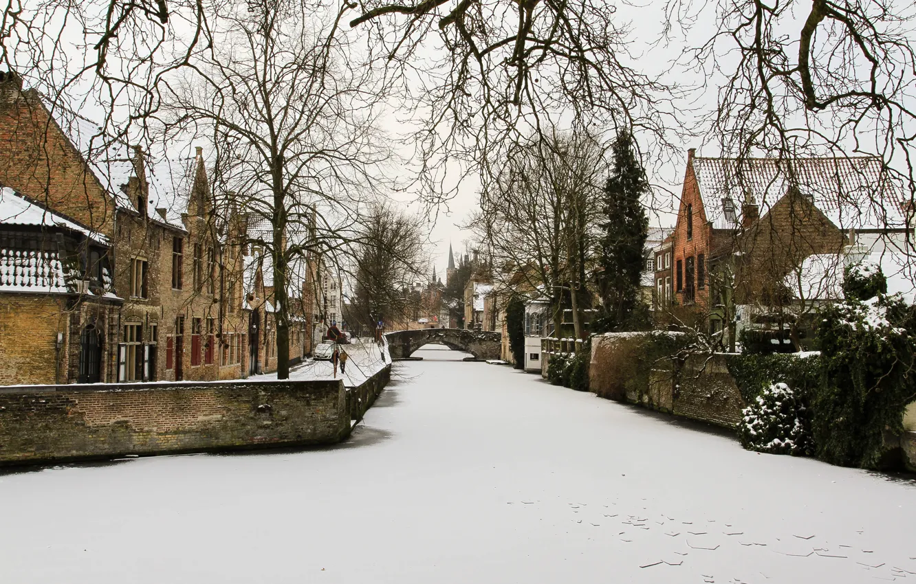 Фото обои river, winter, Belgium, frozen, Brugge