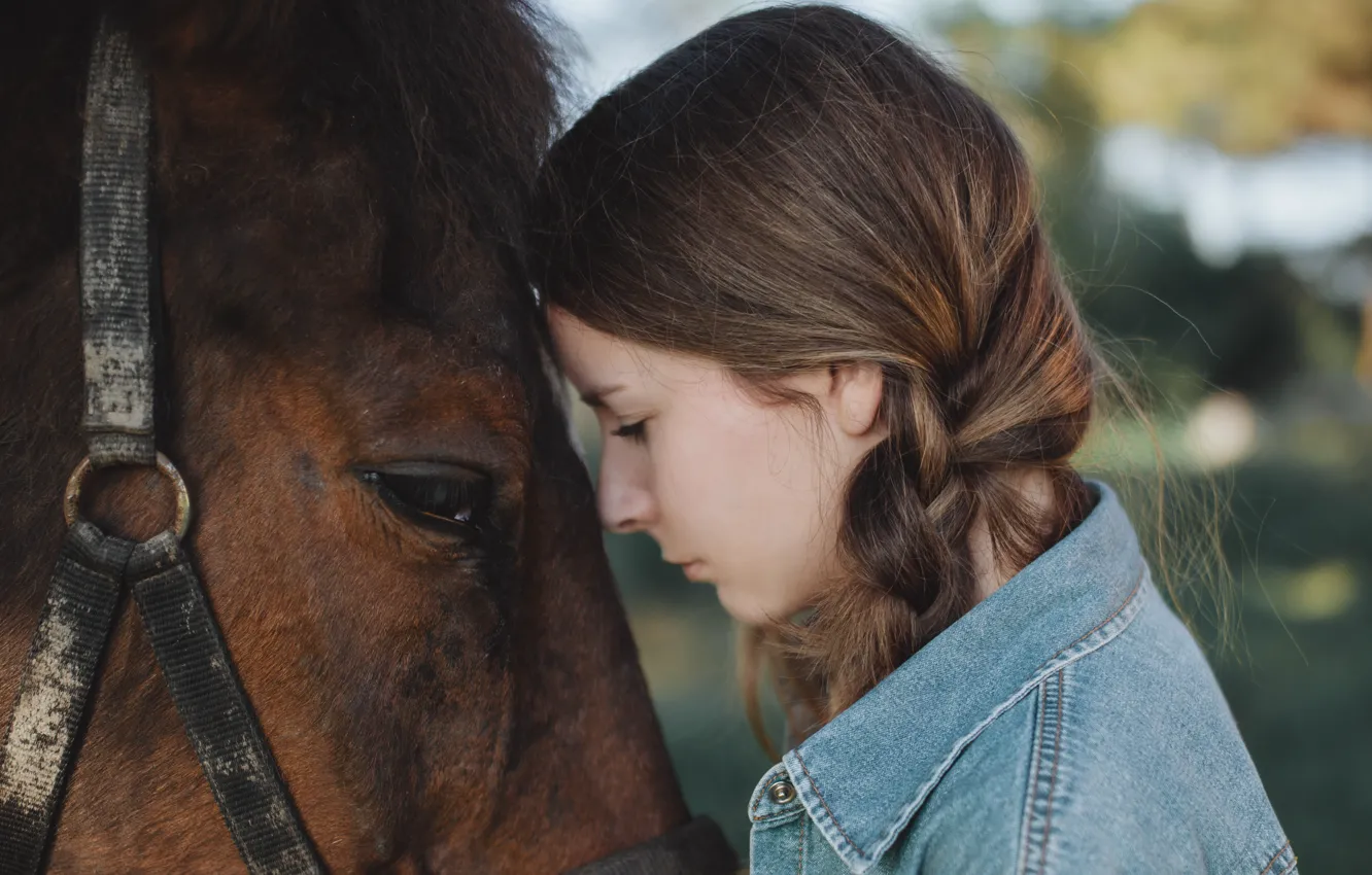 Фото обои девушка, настроение, лошадь