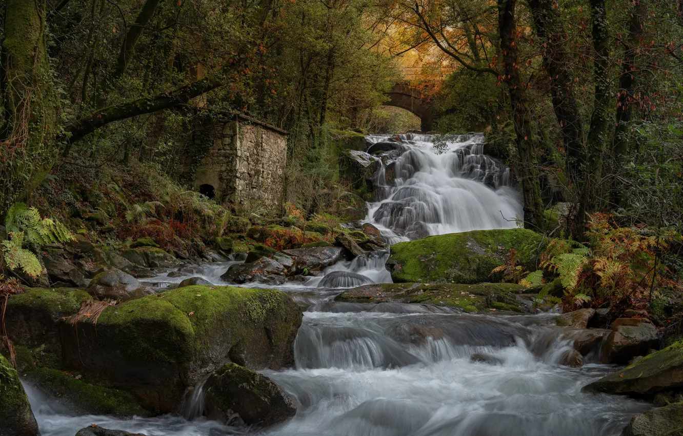 Фото обои лес, дом, ручей, водопад, речка, Испания, каскад, Галисия