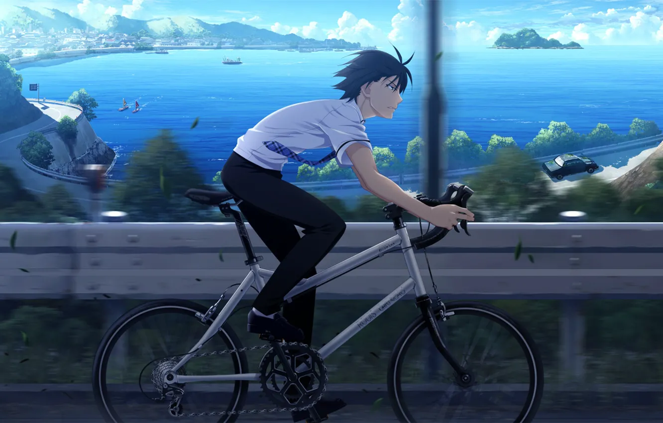 Фото обои велосипед, скорость, парень, Grisaia no Kajitsu