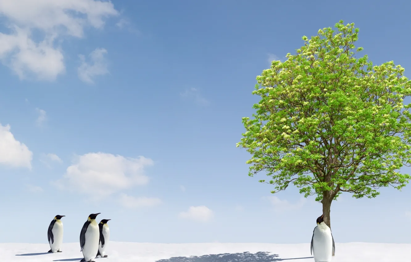 Фото обои Nature, Tree, Pinguin