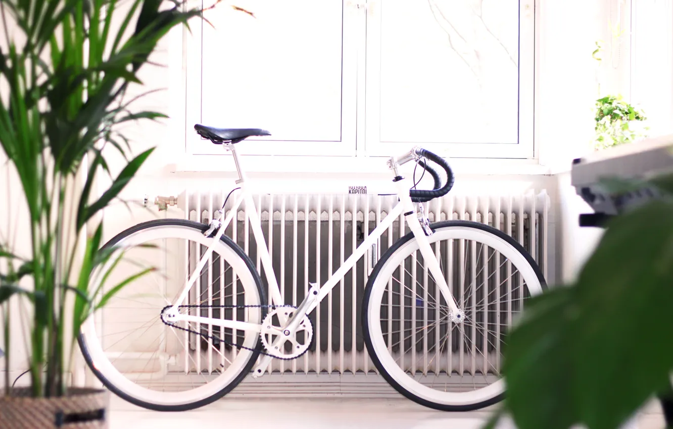 Фото обои белый, велосипед, white, bicycle, bike, capitol, handmade, singlespeed