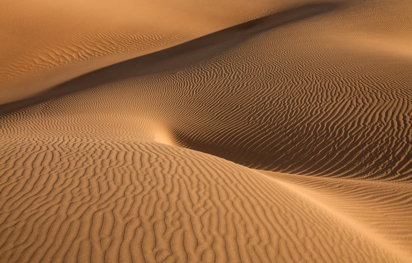 Фото обои desert, sand, erosion