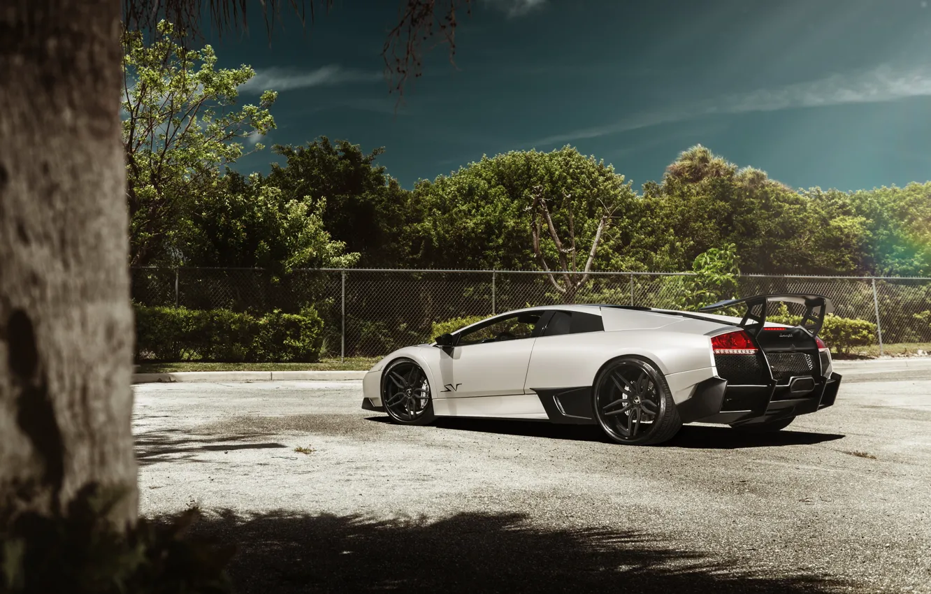Фото обои Lamborghini, supercar, Murcielago, SuperVeloce, LP 670-4