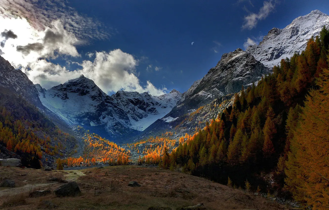 Фото обои осень, деревья, горы, долина, Альпы, Италия, Italy, Alps