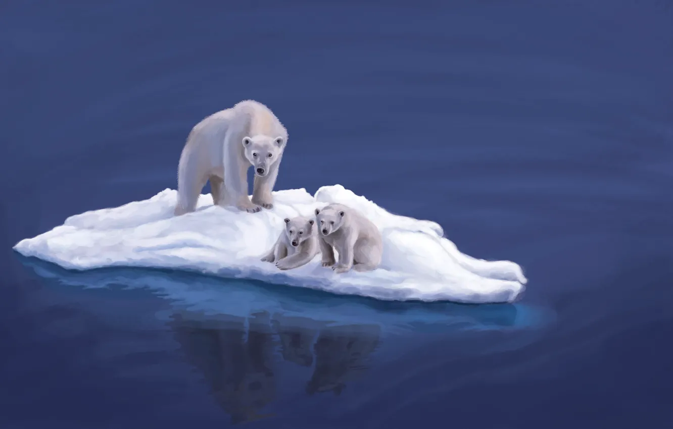 Фото обои животные, вода, океан, медведи, арт, белые, льдина, медвежата