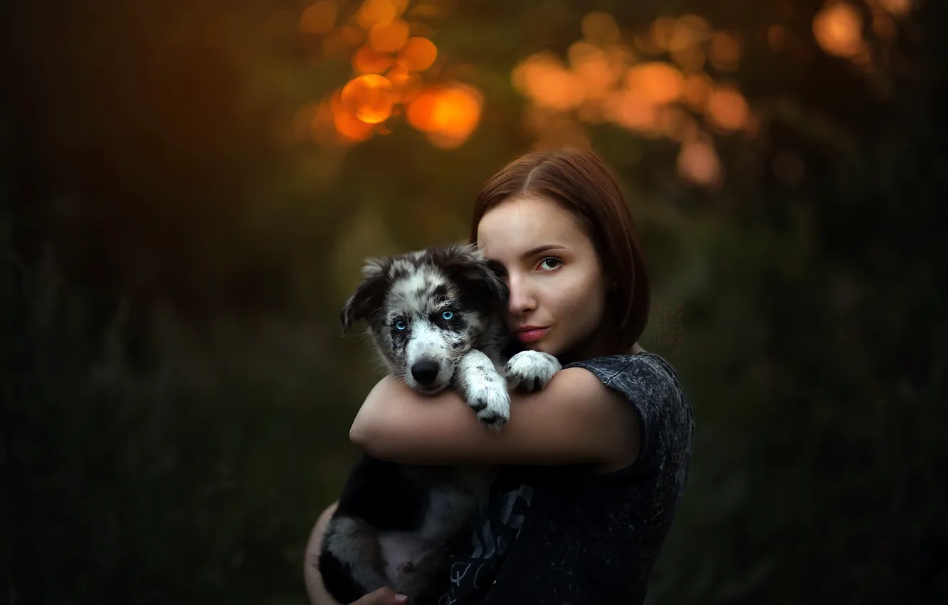 Фото обои девушка, собака, щенок