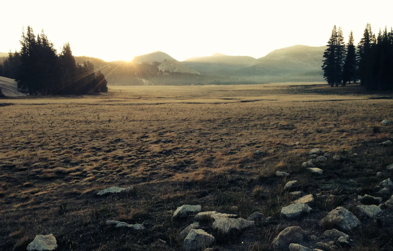 Фото обои mountains, morning, sunrise, Tuolumne Meadows