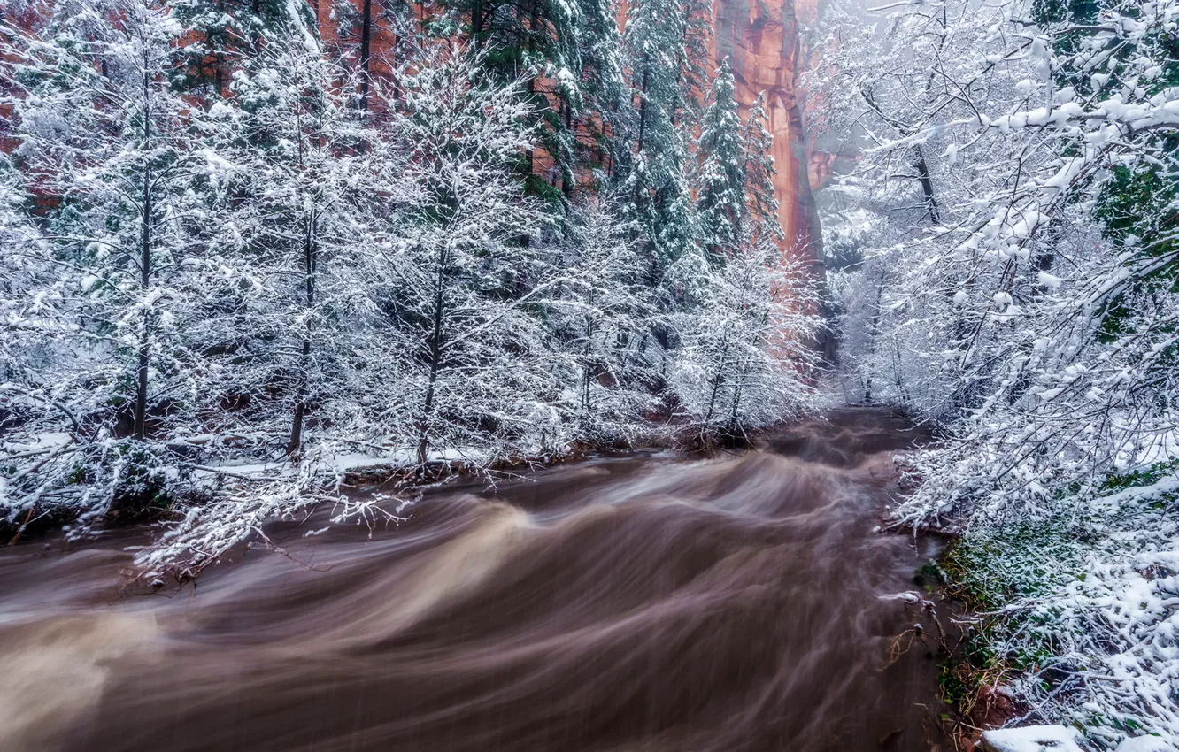 Фото обои снег, деревья, пейзаж, горы, река, поток