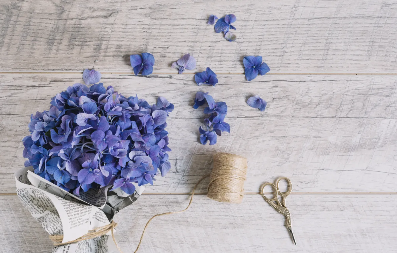 Фото обои цветы, букет, wood, flowers, purple, Bouquet, hydrangea