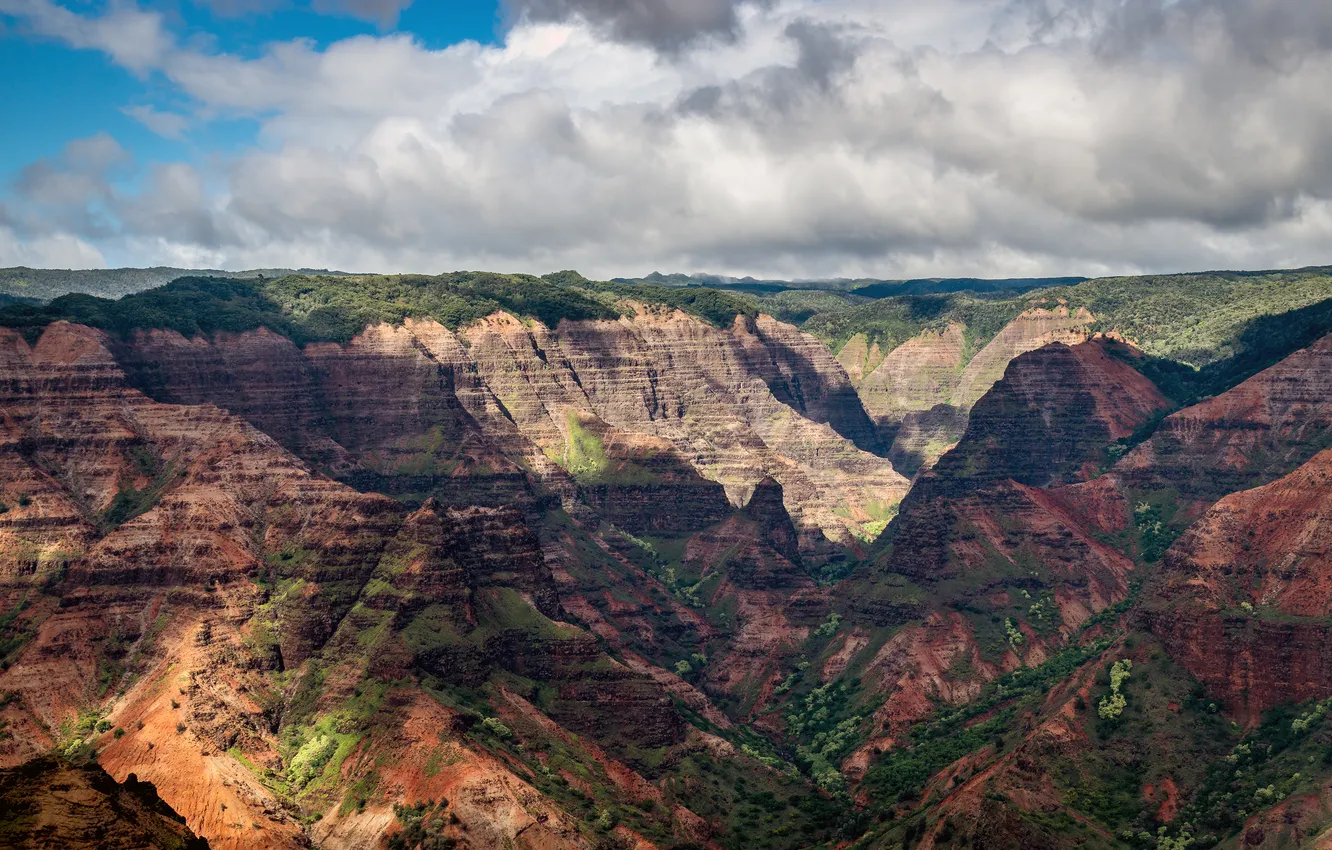 Фото обои природа, каньон, Waimea canyon