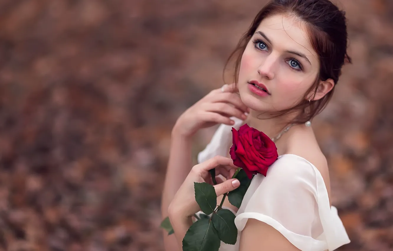 Фото обои взгляд, лицо, роза, платье, жест