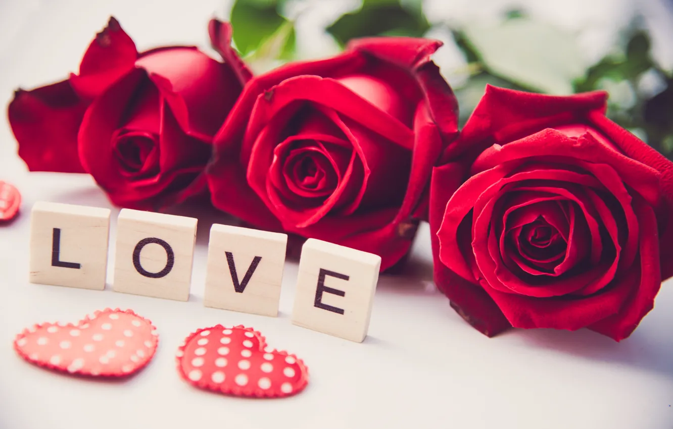 Фото обои любовь, сердце, розы, красные, red, love, heart, flowers