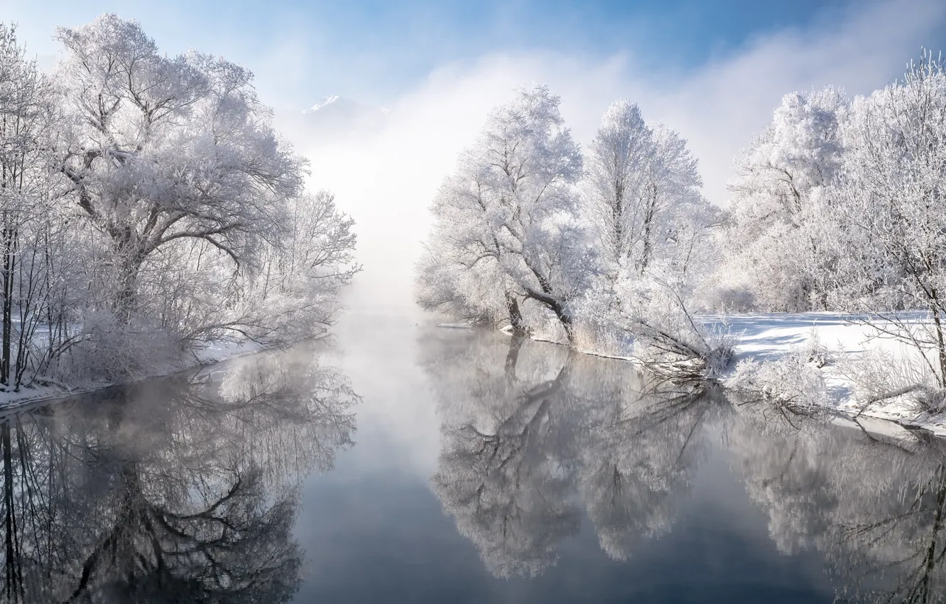 Фото обои зима, деревья, река