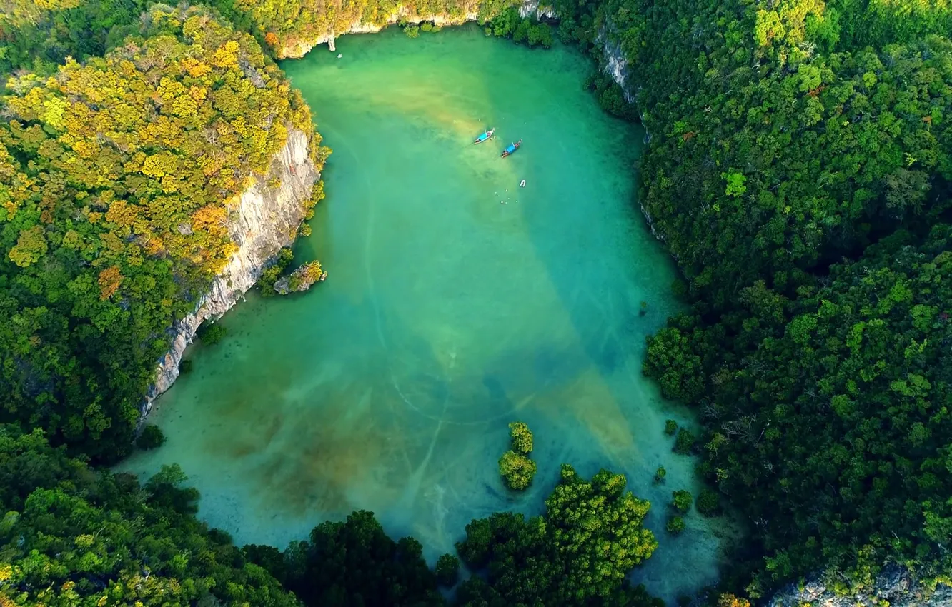 Фото обои лес, скалы, сверху, Таиланд, Краби, Krabi, природный бассейн, natural swimming pool at Phi Phi Leh …
