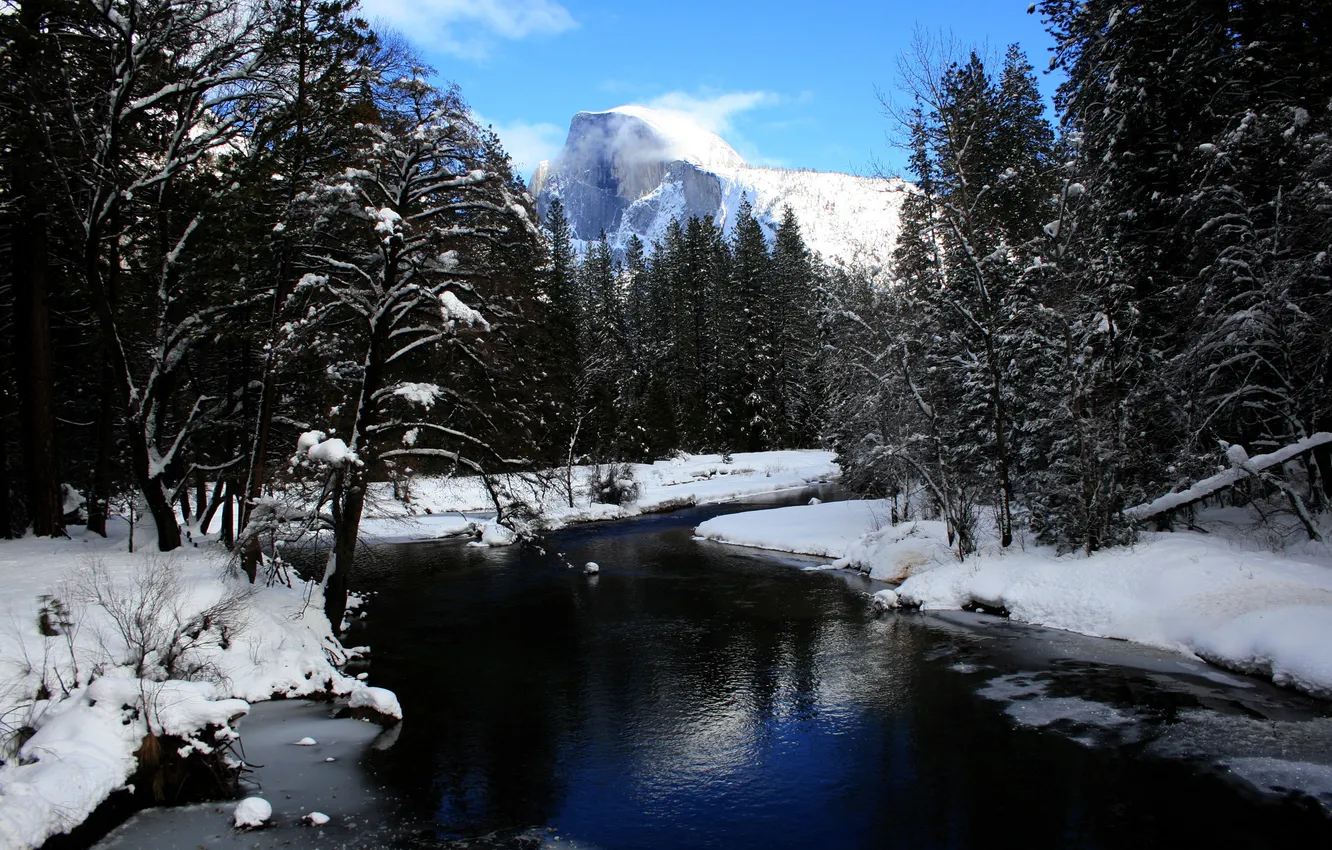 Фото обои зима, лес, снег, деревья, горы, река