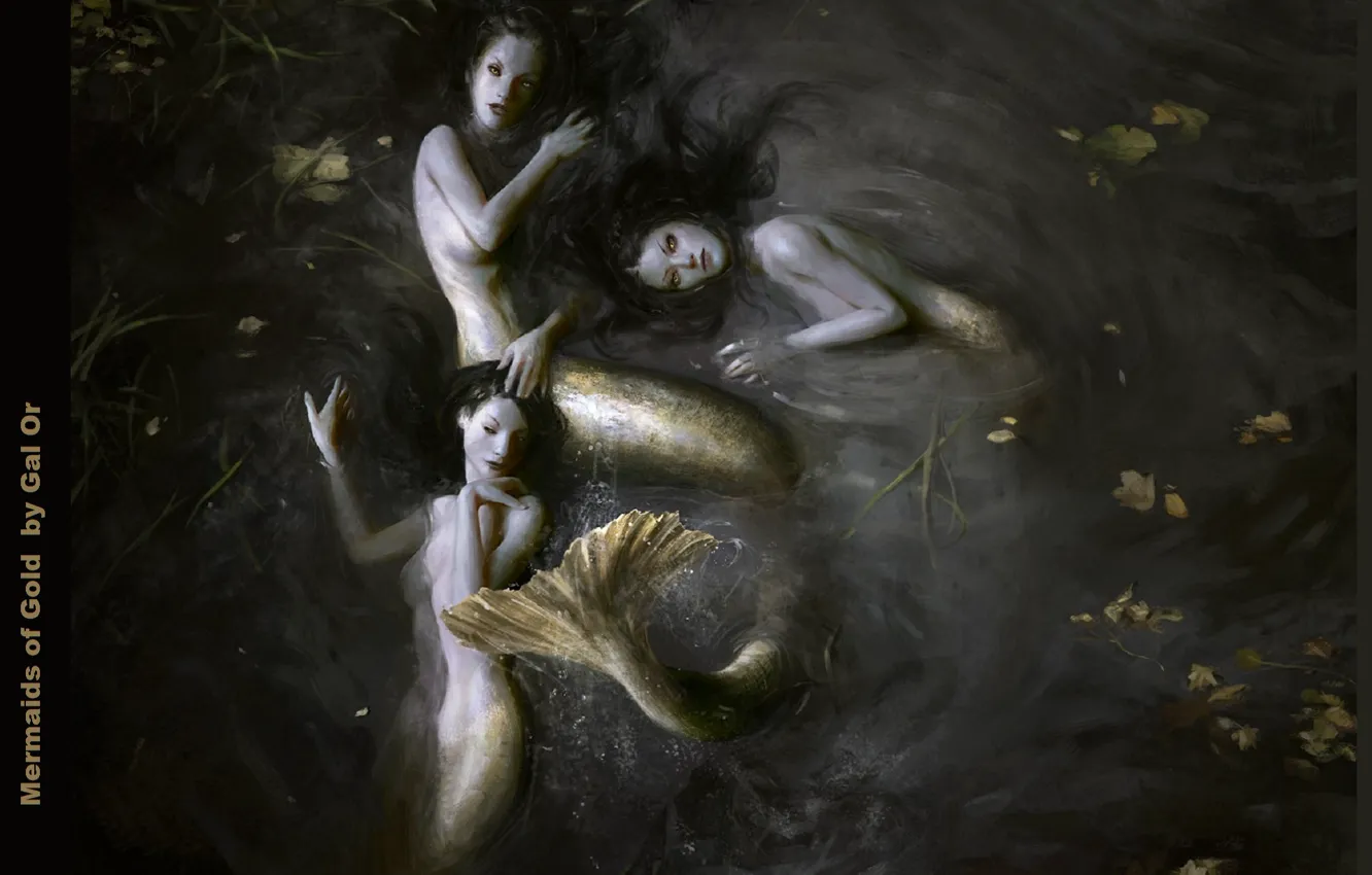 Фото обои хвост, русалки, длинные волосы, в воде, чешуйки, три девушки, листья в воде, mermaids