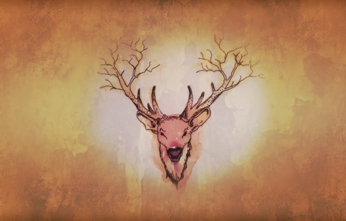 Фото обои forest, horns, minimalism, nature, brown, old, cute, Deer