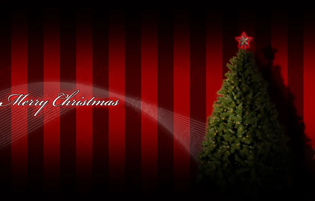 Фото обои праздник, звезда, елка, рождество, Merry Christmas