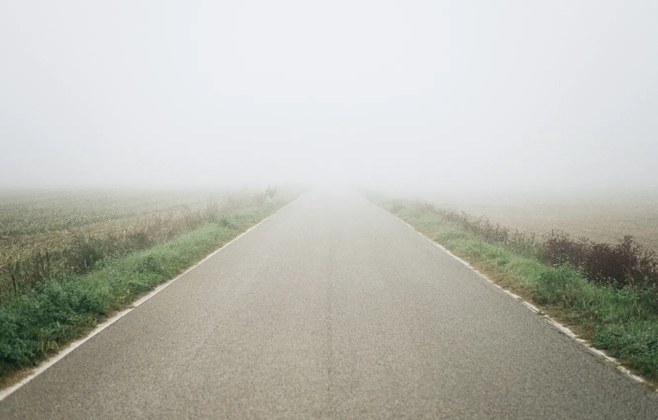 Фото обои misty, road, fog