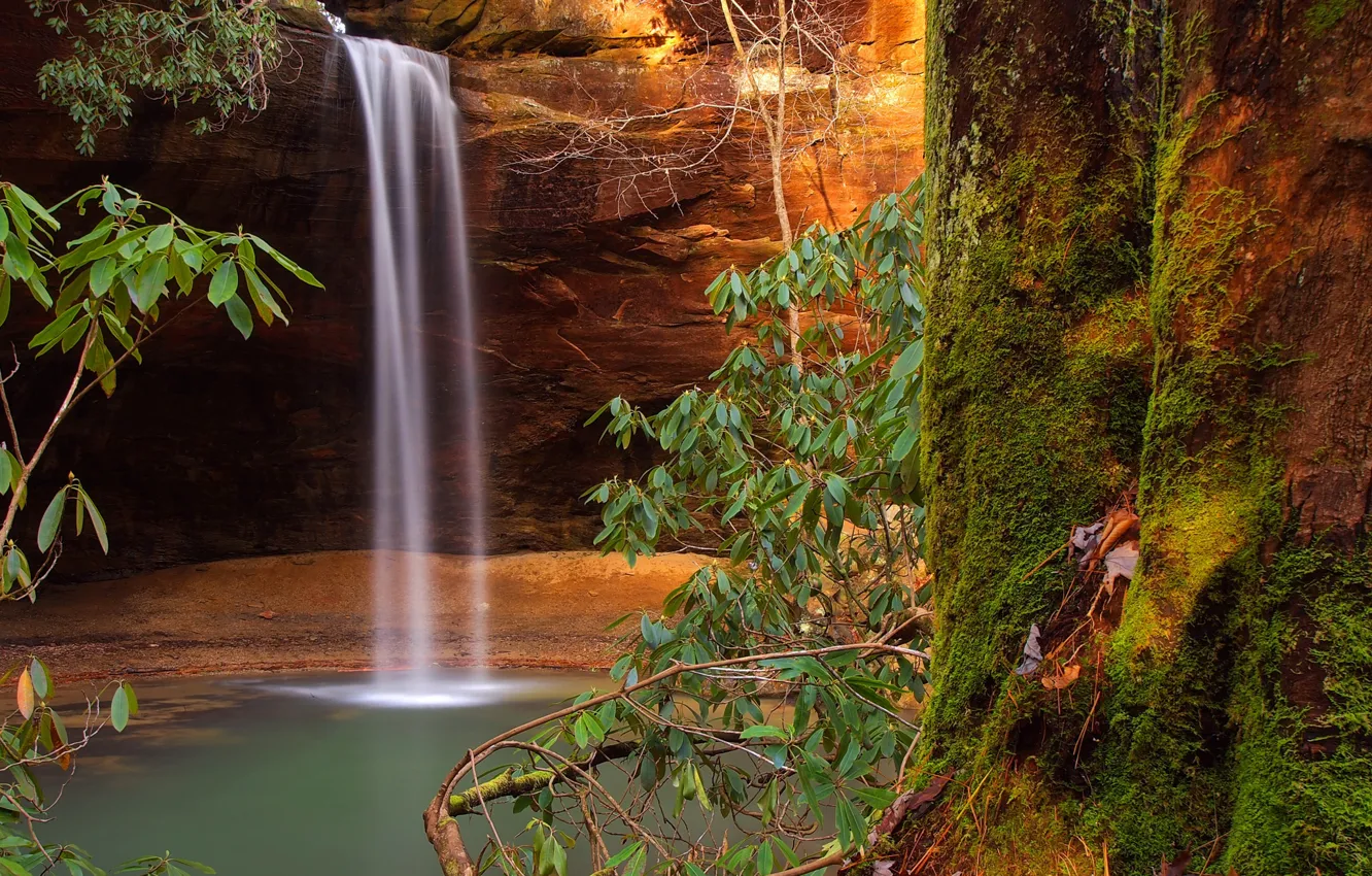 Фото обои осень, ручей, скалы, водопад, ущелье, США