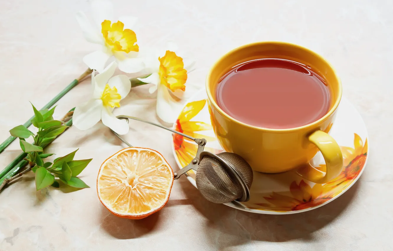 Фото обои цветы, стол, чай, апельсин, чашка, напиток, сеточка, блюдце