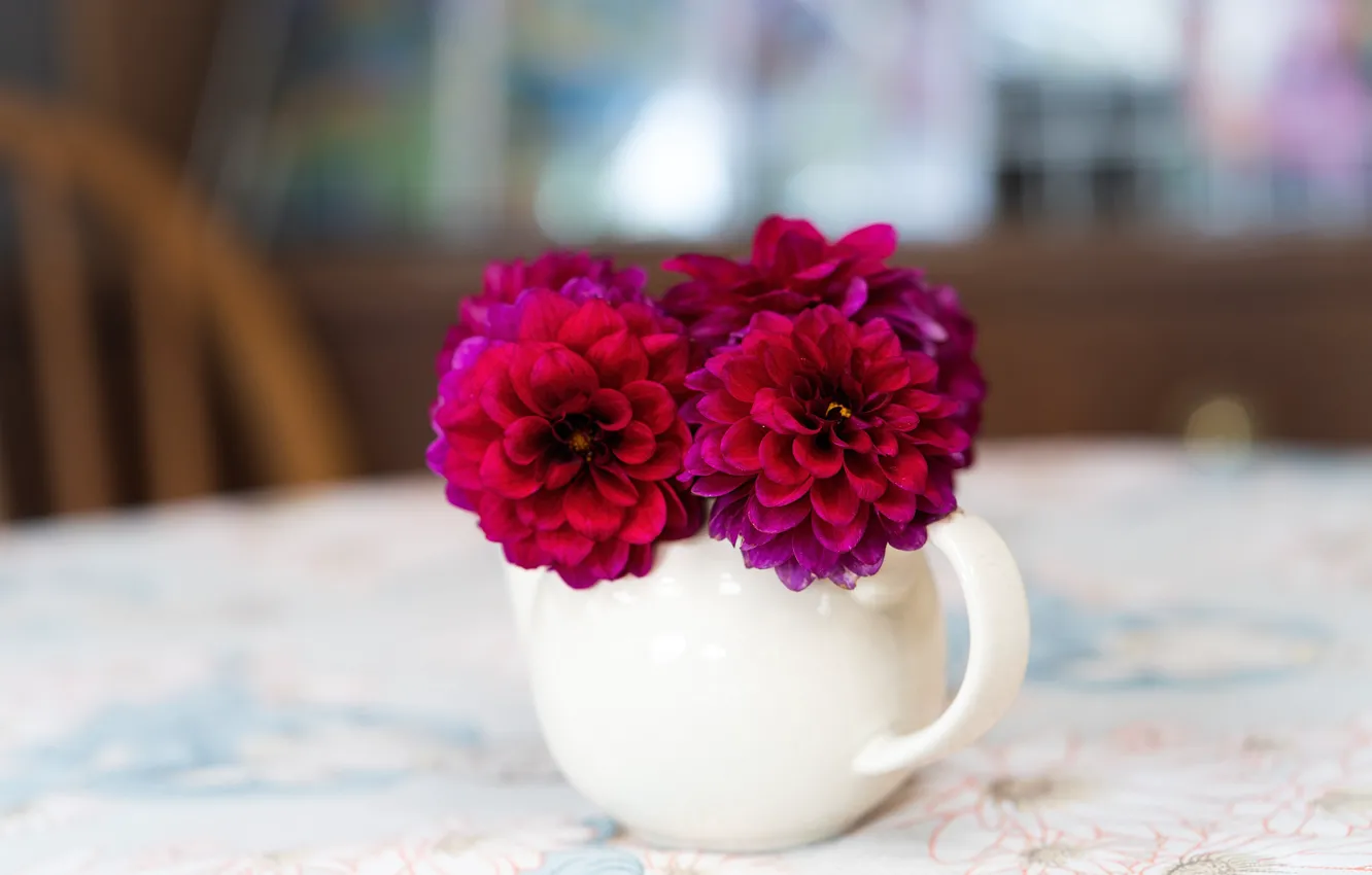 Фото обои цветы, стол, букет, кружка, чашка, белая, светлый фон, малиновые