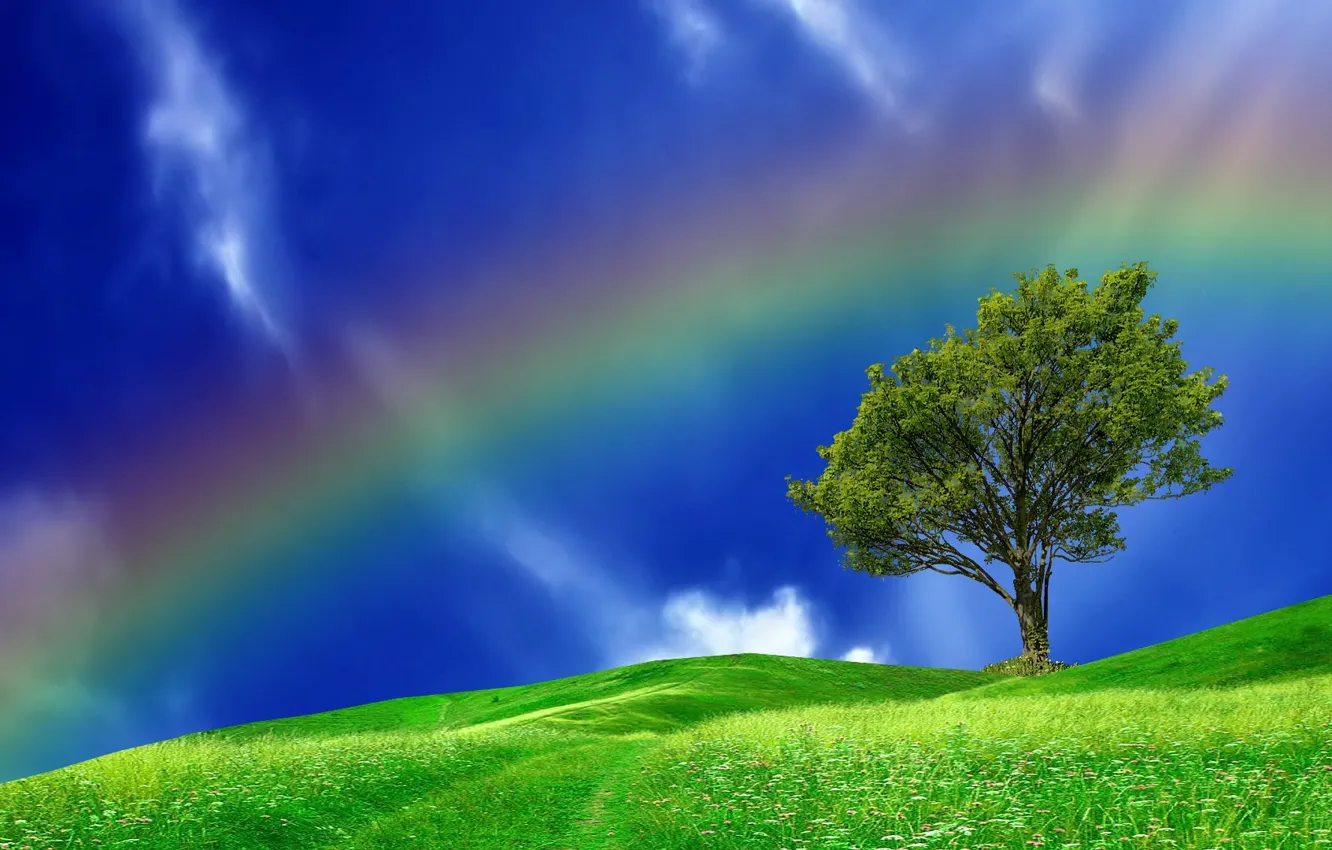 Фото обои лето, дерево, радуга, холм