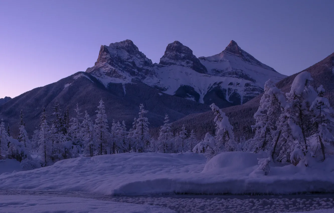 Фото обои зима, снег, деревья, горы, вершины, ели, Канада, сугробы