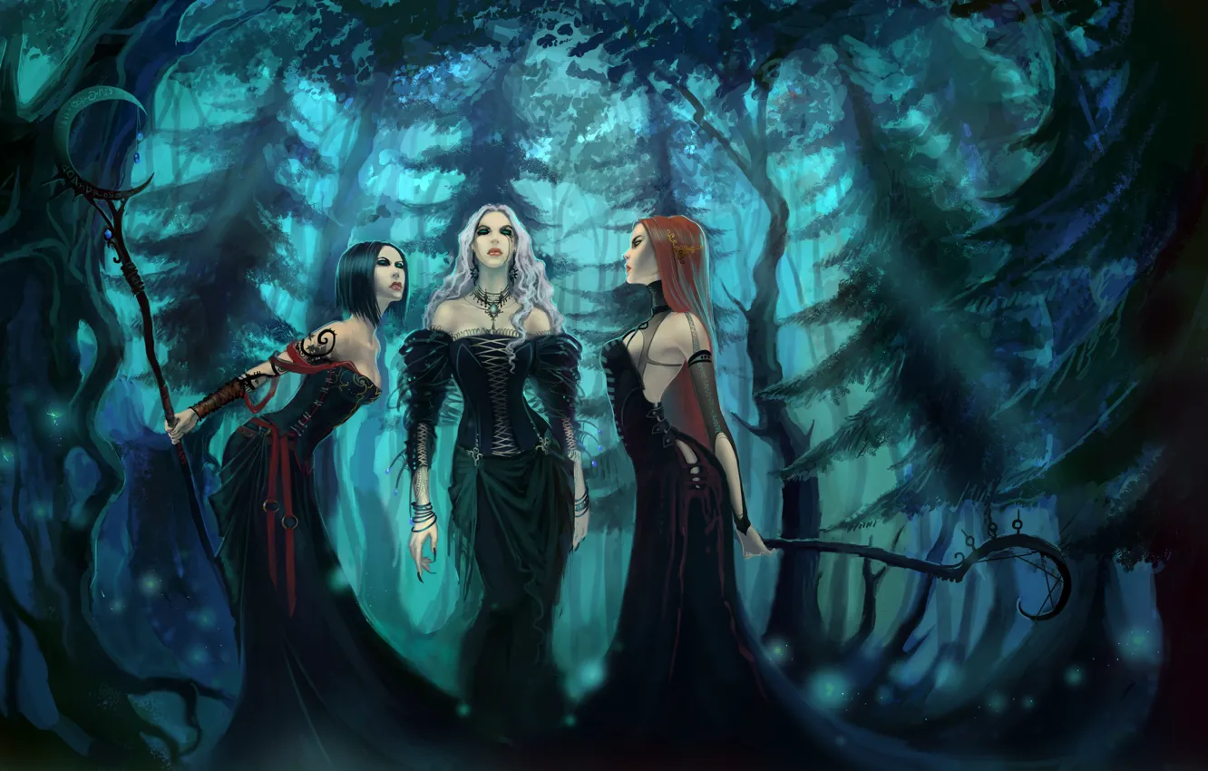 Фото обои лес, три, Witches, Ведьмы