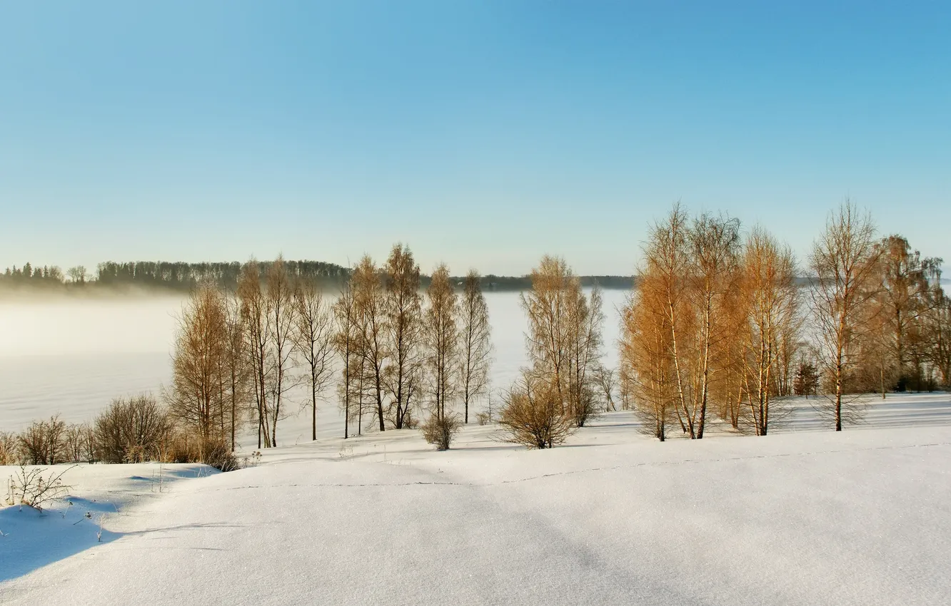 Фото обои зима, природа, Латвия