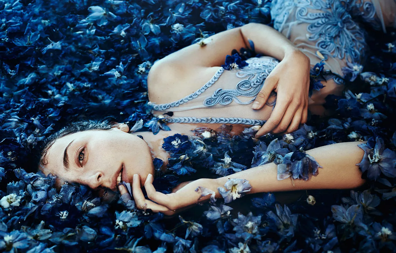 Фото обои взгляд, девушка, настроение, лепестки, цветки, Bella Kotak, A sea of blue flowers, Ella Grace Denton