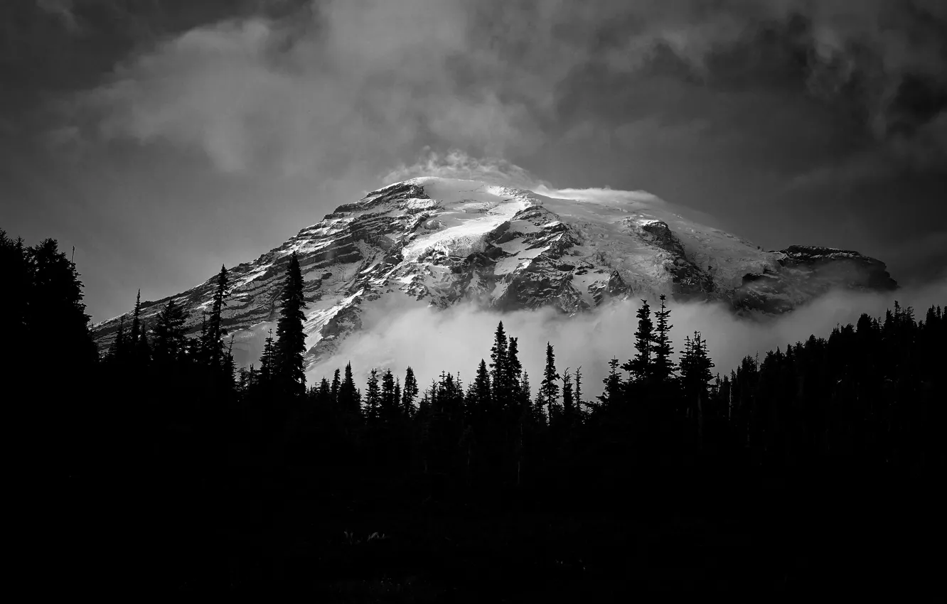 Фото обои облака, снег, деревья, горы, природа, туман, скалы, черно-белое
