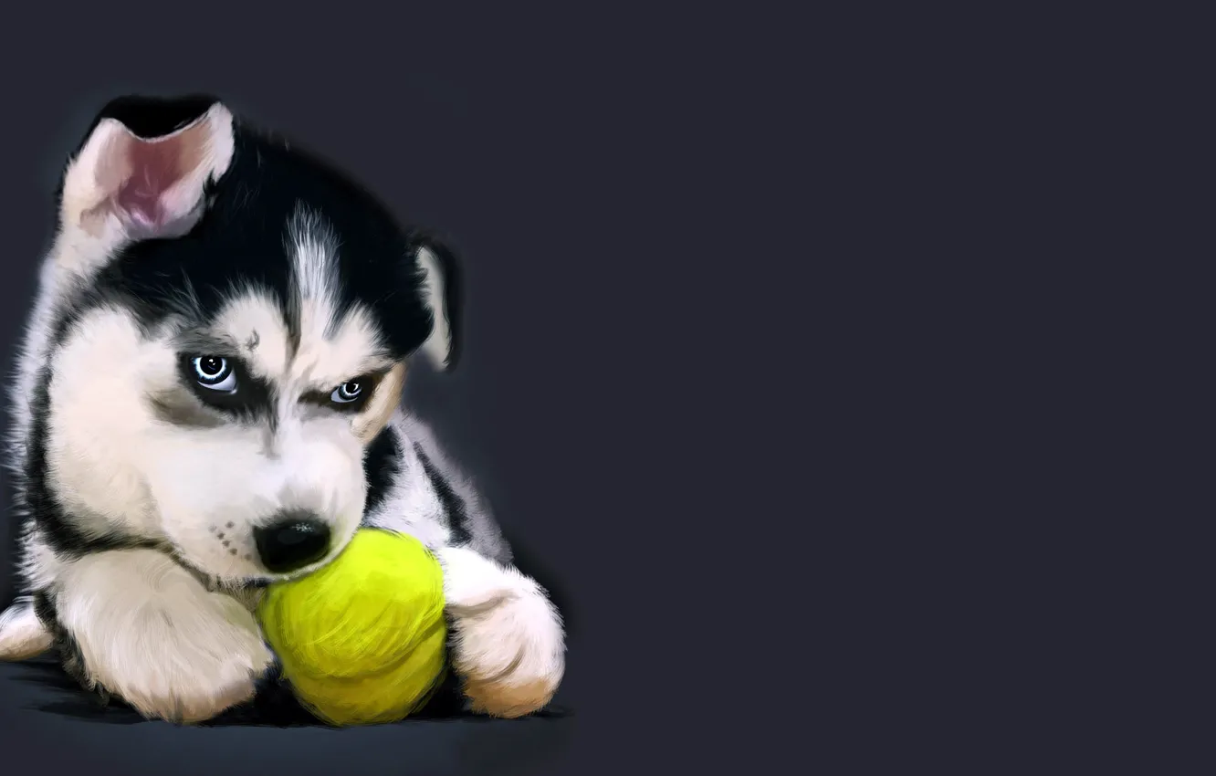 Фото обои рисунок, щенок, мячик, хаски