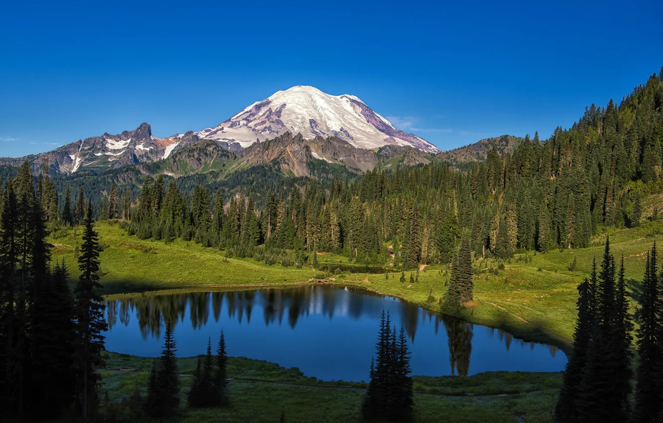 Фото обои лес, деревья, горы, озеро, Mount Rainier National Park, Национальный парк Маунт-Рейнир, Mt Rainier, Каскадные горы