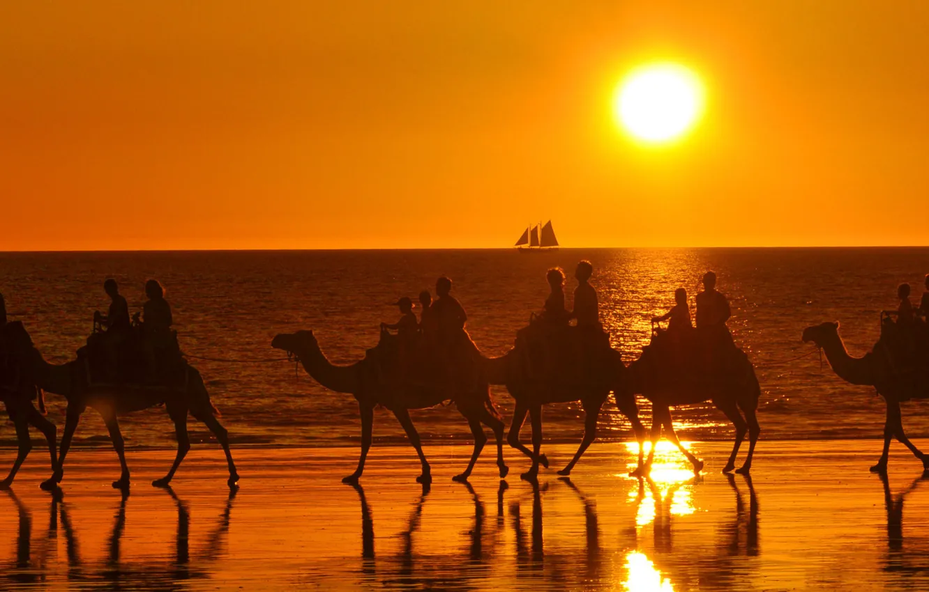Фото обои море, солнце, парусник, верблюды, караван, туристы