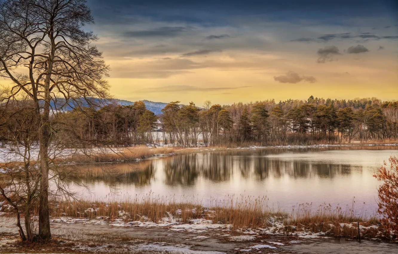 Фото обои зима, озеро, обработка, снег.деревья, Winter Lake