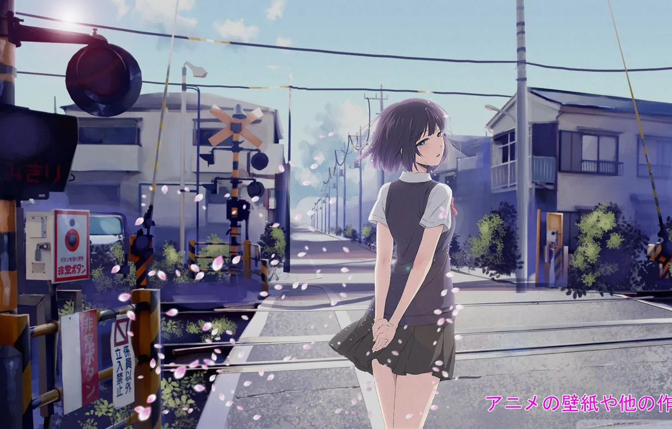 Фото обои девушка, улица, аниме, сакура, Ханаби Ясураока, фон из аниме, тайные желания отвергнутых