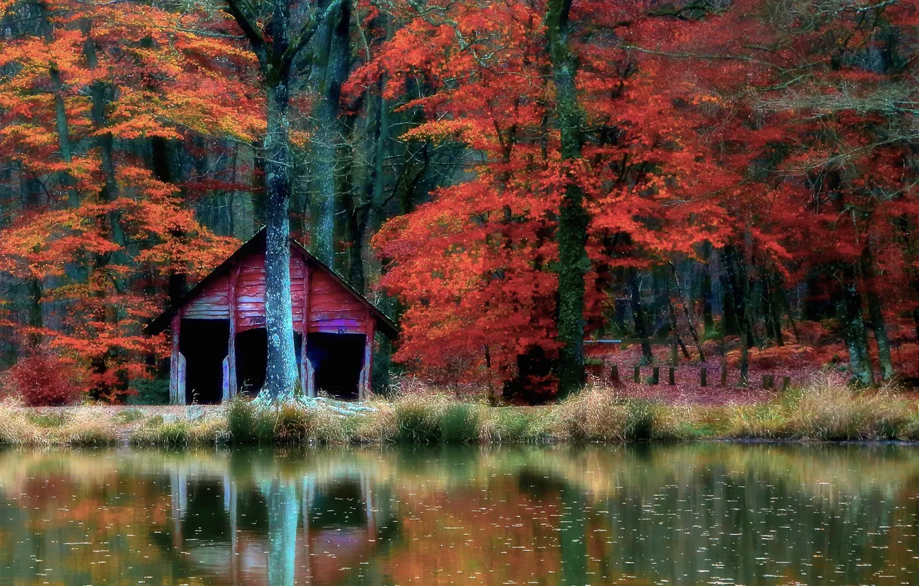 Фото обои осень, лес, деревья, озеро, отражение, зеркало, кабина