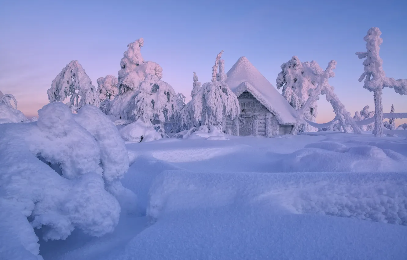Фото обои зима, снег, деревья, избушка, сугробы, домик, хижина, Финляндия