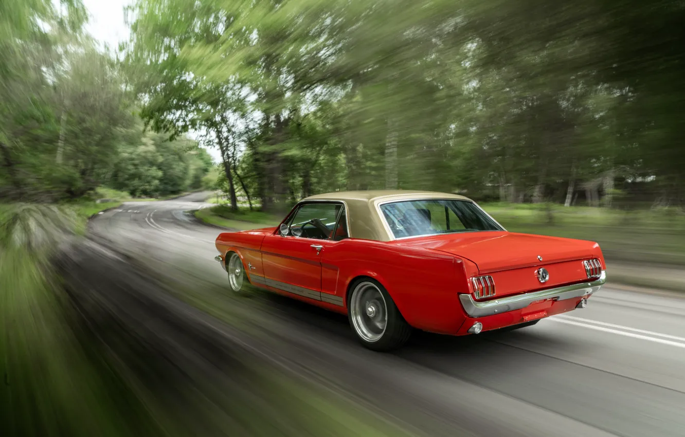 Фото обои Mustang, Ford, speed, 1965 Ford Mustang Coupe, Alan Mann Racing
