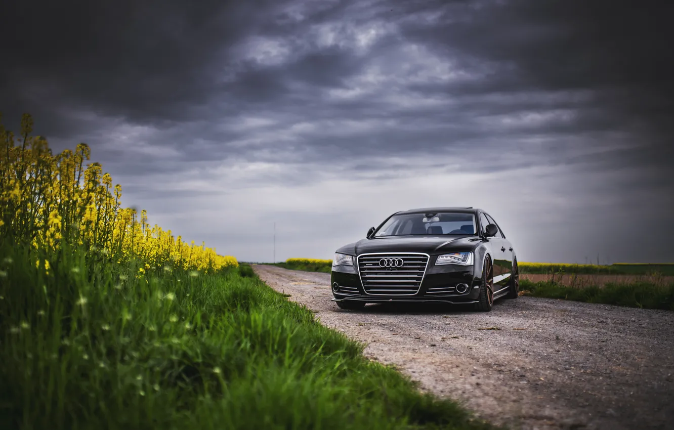 Фото обои Audi, Clouds, Grass, Black, Gray
