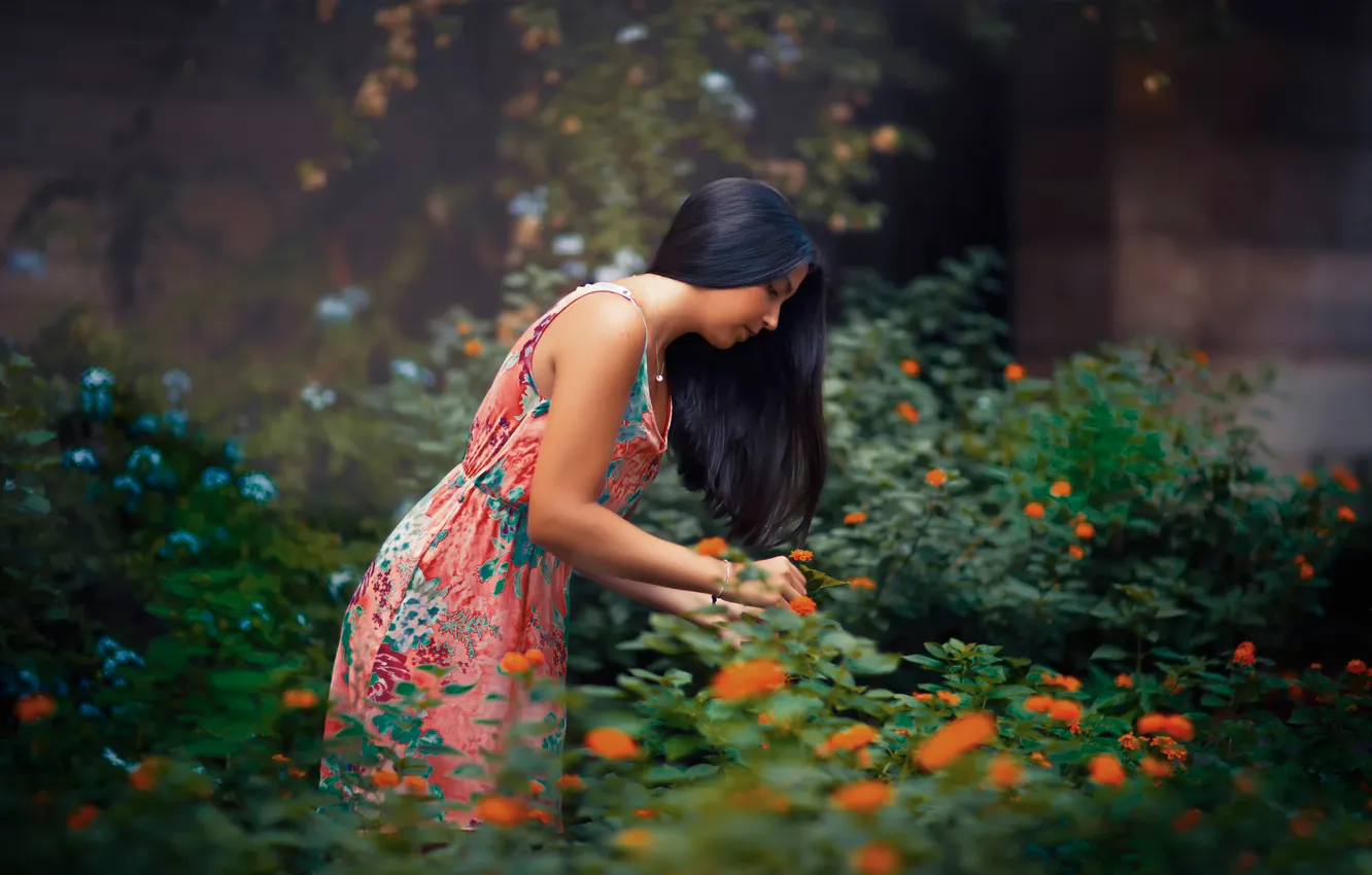 Фото обои девушка, цветы, Orange spots