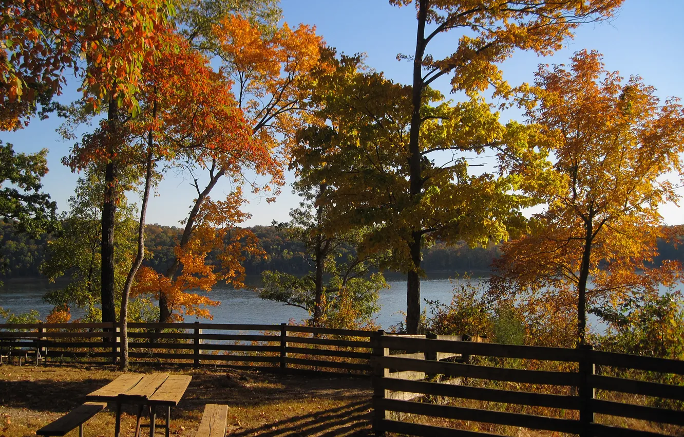 Фото обои осень, деревья, озеро, Природа, беседка, trees, nature, autumn