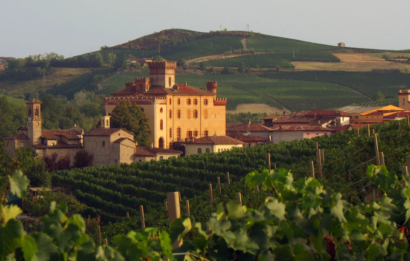 Фото обои Italy, wine, Piemonte, vineyard, red wine, Barolo, Denominazione di Origine Controllata e Garantita, DOCG