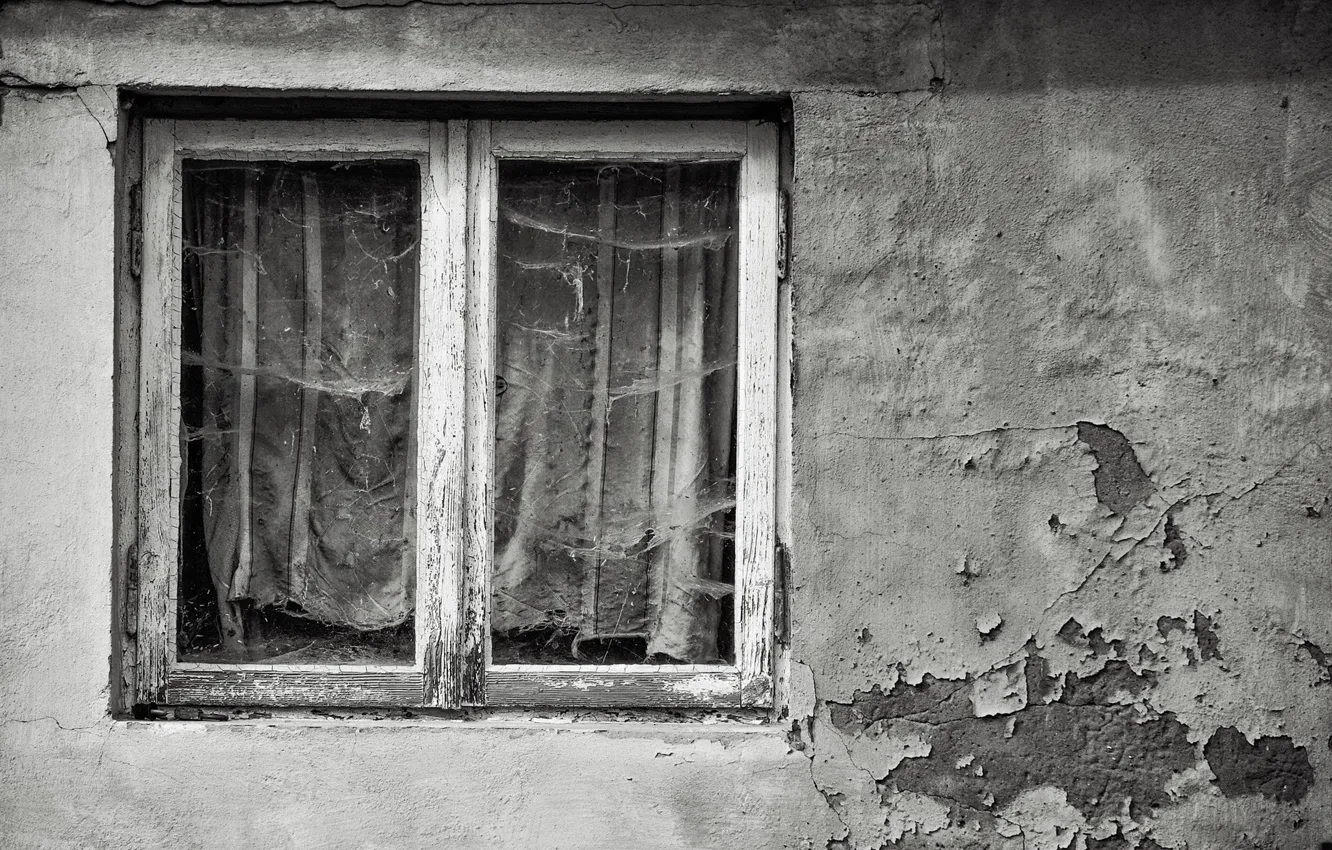 Фото обои стена, дома, окно, натурализм